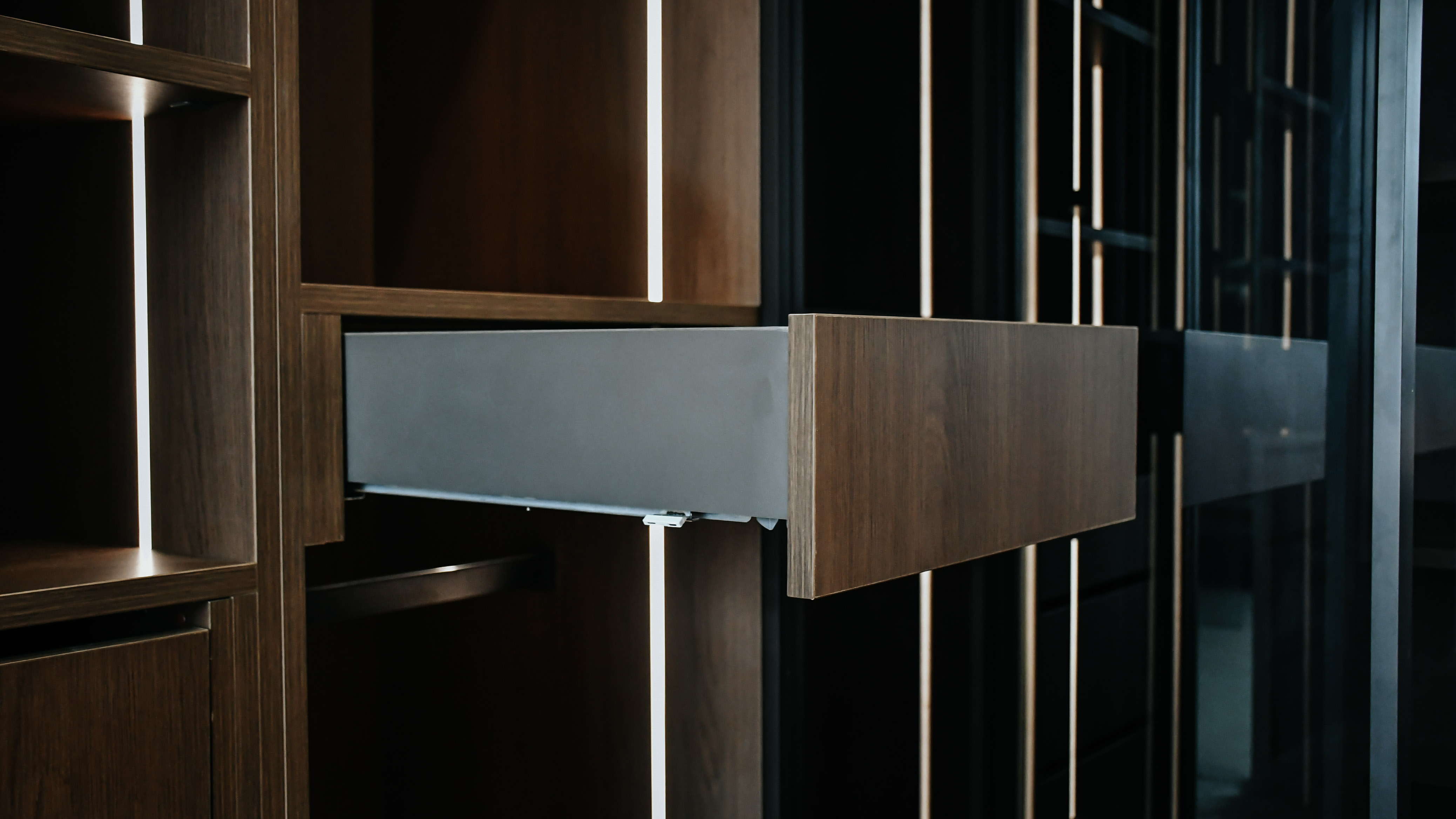 Premium Wardrobe Design
